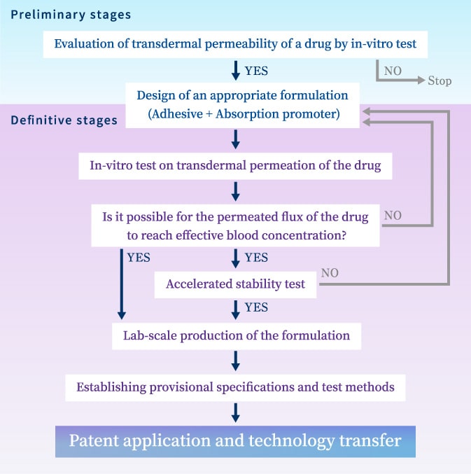 Details of each stage (for developing patch type drugs)